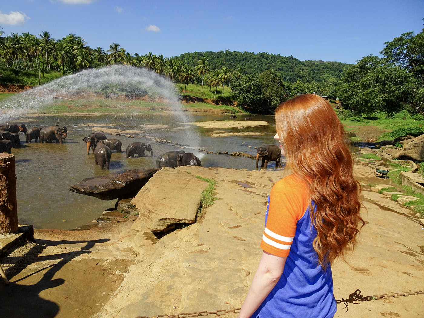 Callie watching elephants cool off in the water